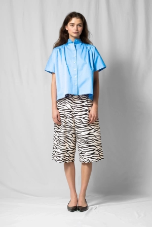 white zebra
